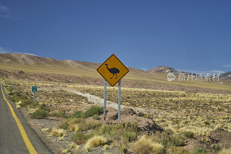 在智利的泛美高速公路上，有一个黑色和黄色的路标，警告人们注意美洲美洲鸵(Nandu, greater Rhea, Rhea americana)，并要求人们注意和小心